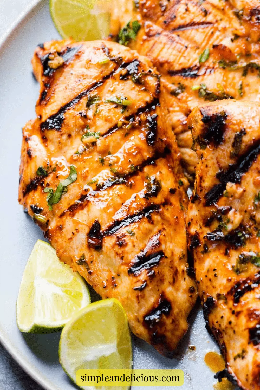 Cilantro Lime Chicken Marinade