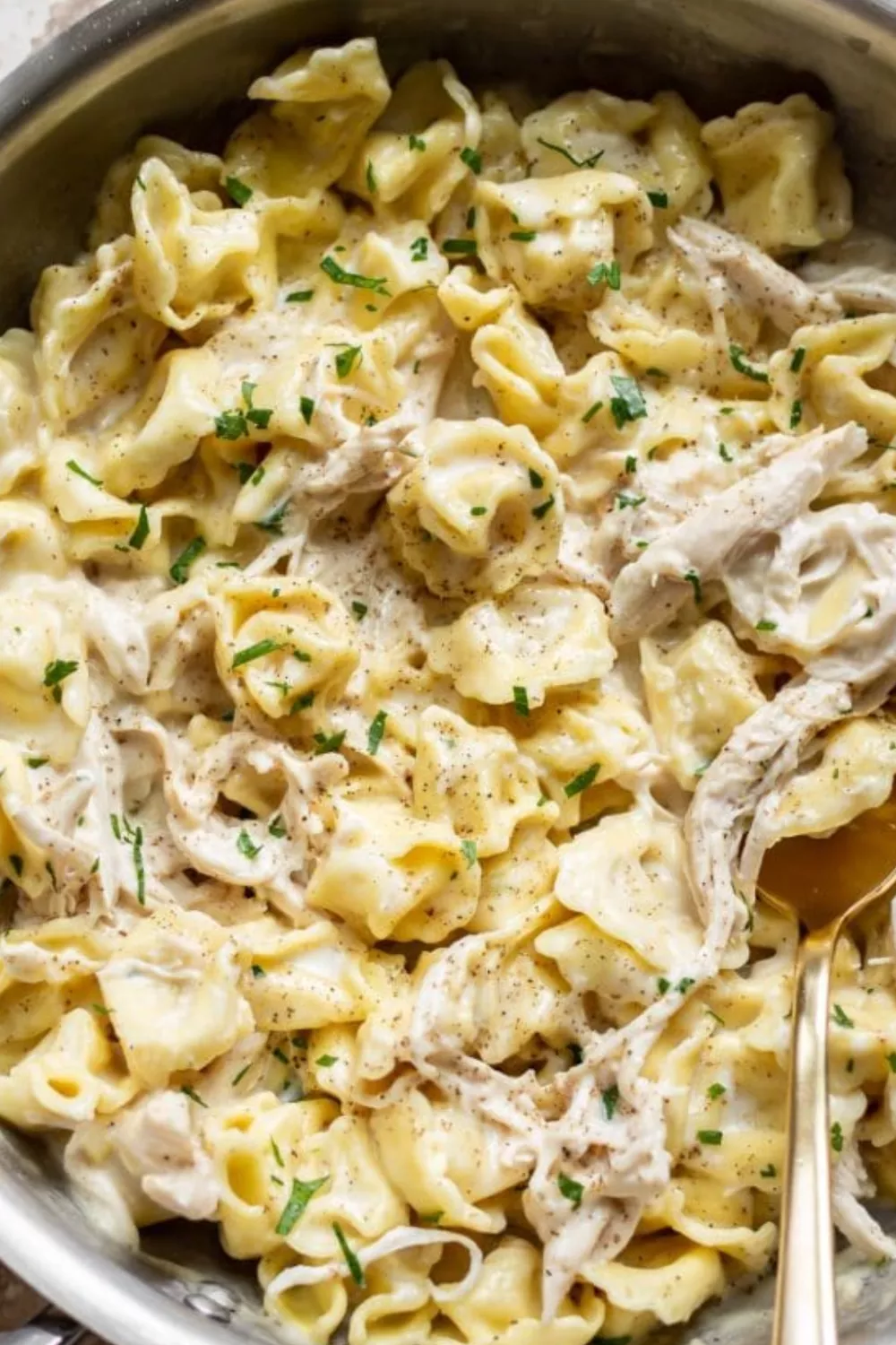 Chicken tortellini alfredo